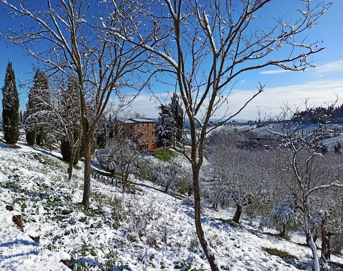 Rocca Degli Olivi Acomodação com café da manhã San Gimignano Alojamento de Acomodação e Pequeno-almoço