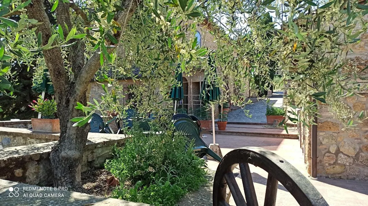 Rocca Degli Olivi Bed and Breakfast San Gimignano