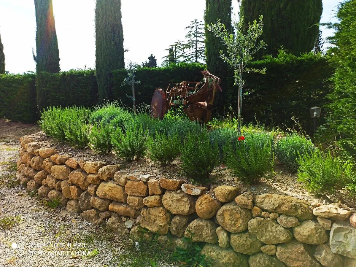 Bed and Breakfast Rocca Degli Olivi San Gimignano