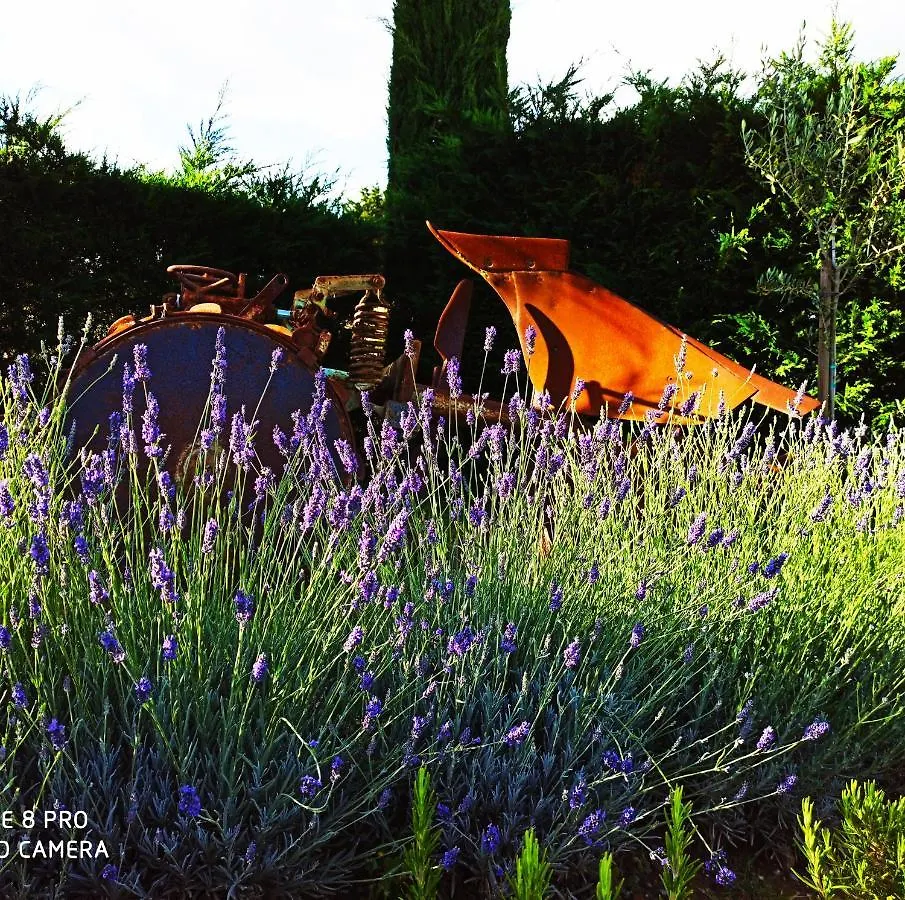 Rocca Degli Olivi Bed & Breakfast San Gimignano