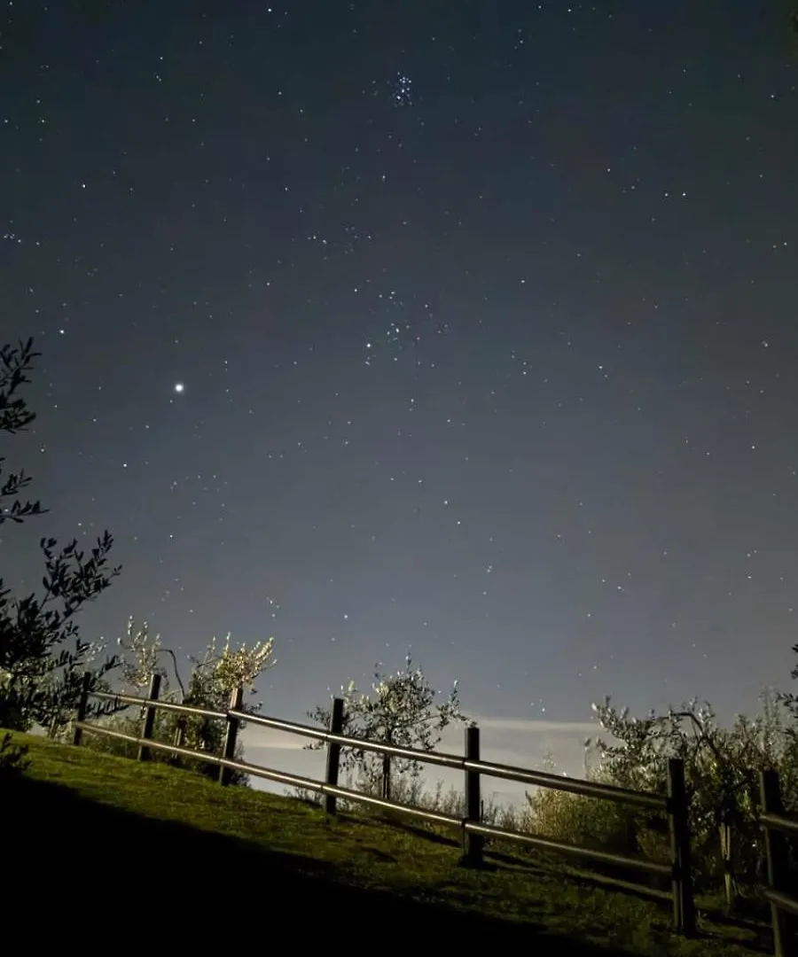 Rocca Degli Olivi Bed & Breakfast San Gimignano 2*,  Italy