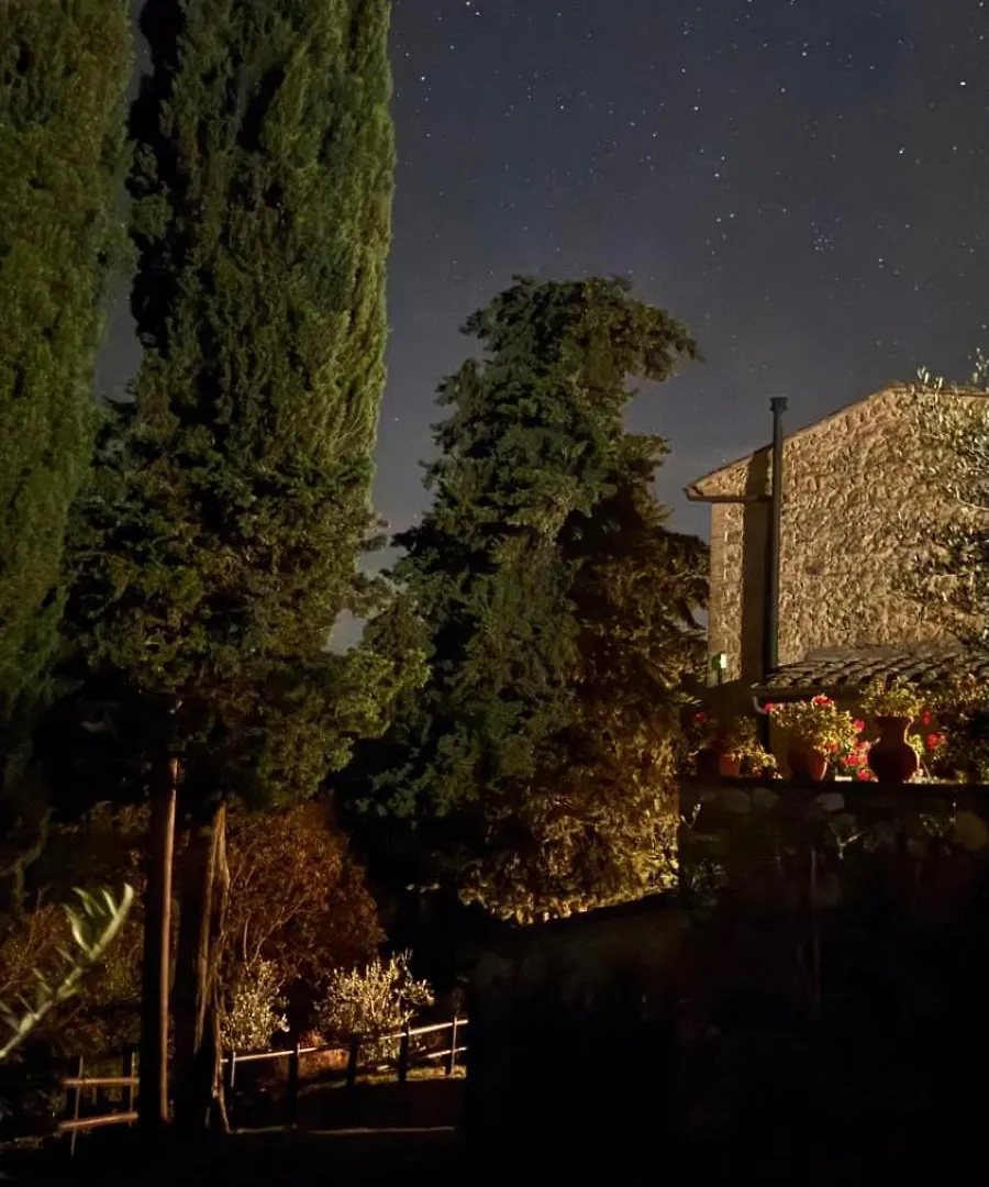 Rocca Degli Olivi Bed & Breakfast San Gimignano