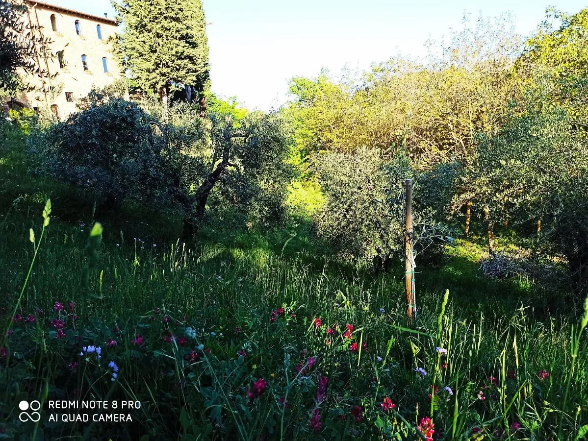 Rocca Degli Olivi Bed & Breakfast San Gimignano