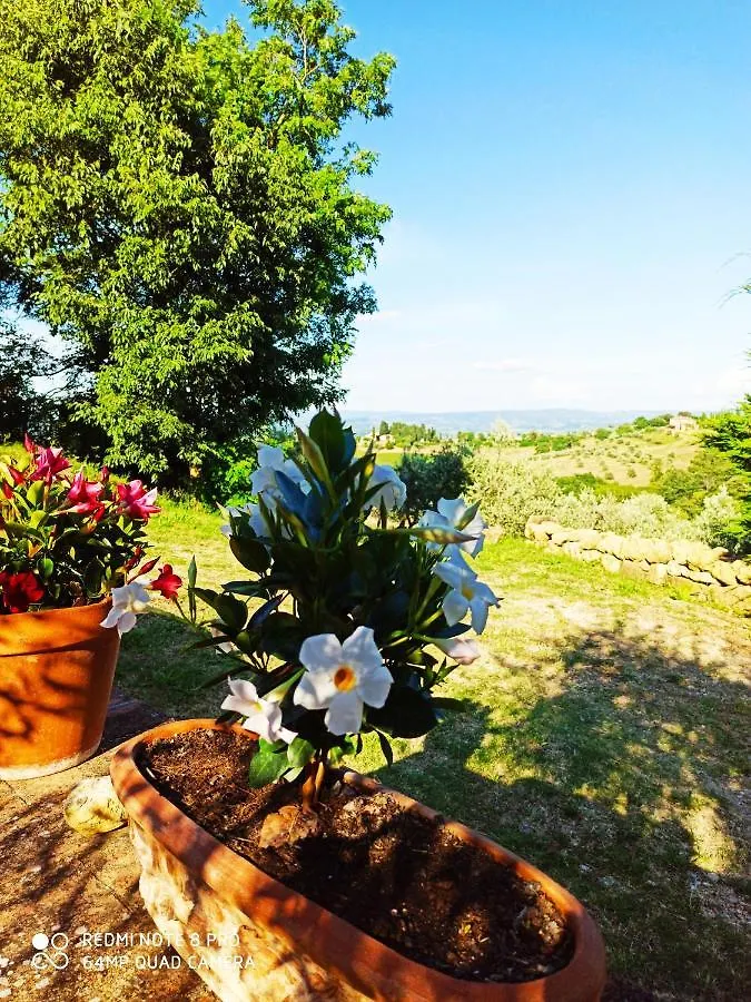 Rocca Degli Olivi Bed & Breakfast San Gimignano